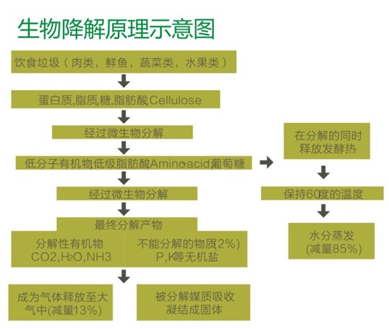 餐廚垃圾處理器生物降解原理理