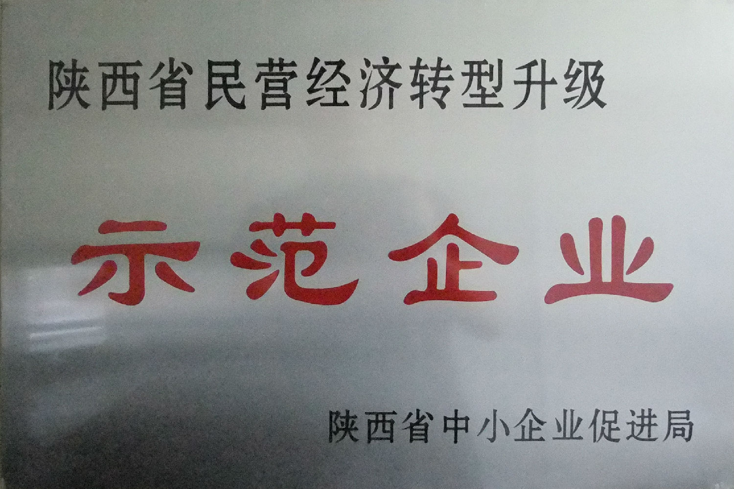 陜西省民營經(jīng)濟(jì)轉(zhuǎn)型升級示范企業(yè)